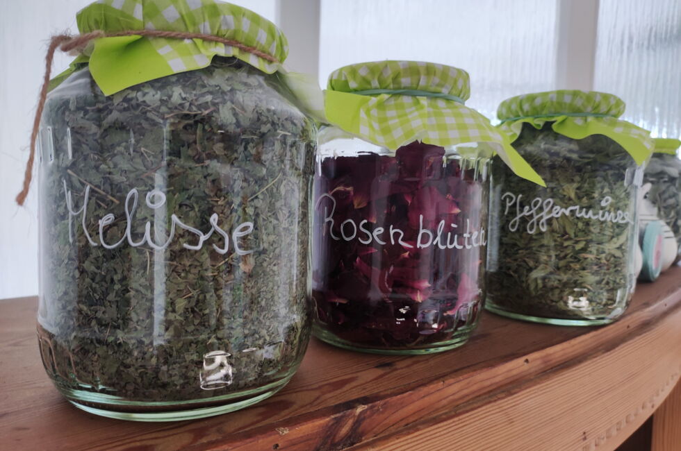 2023 Stellenangebot BFD 4 neu