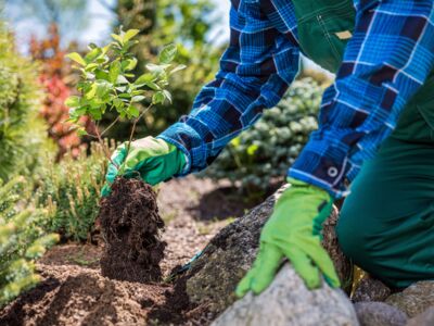 © Photocreo Bednarek - stock.adobe.com