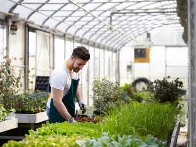 © Stocked House Studio - stock.adobe.com