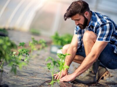 © ivanko80 - stock.adobe.com