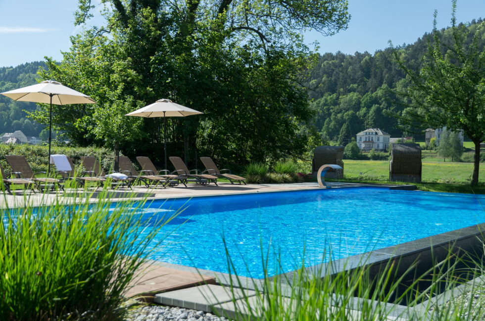 Pura Parkhotel Bad Schandau Pool  3