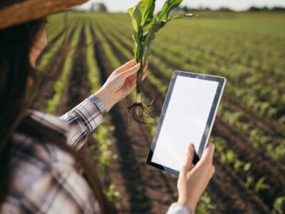 ©  cherryandbees - stock.adobe.com